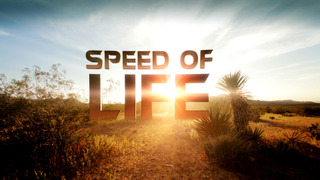 Speed of Life season 1