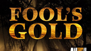 Fools Gold season 2