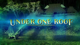 Under One Roof (2002) сезон 1