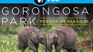 Gorongosa Park: Rebirth of Paradise сезон 1