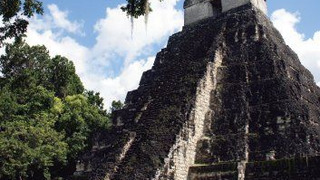 Show Where Did It Come From?