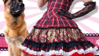 DEKA WANKO -Ms. Detective vs. Police Dog- season 1