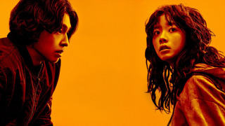 Show Concrete Market