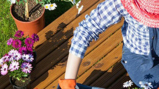 Сериал Gardening with Carol Klein