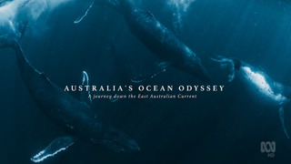 Australia's Ocean Odyssey: A Journey Down the East Australian Current season 1