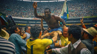 Show Becoming Champions