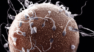 Show A Girl's Guide to 21st Century Sex