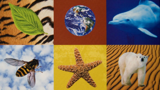 The Living Planet season 1