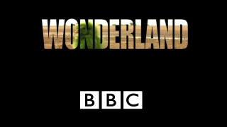 Wonderland (UK) season 4