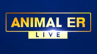 Animal ER Live сезон 1