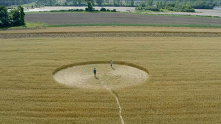Show Société distincte