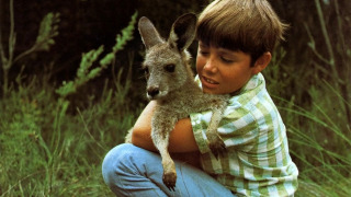 Skippy the Bush Kangaroo season 1