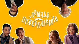 Сериал Лошадь Пржевальского