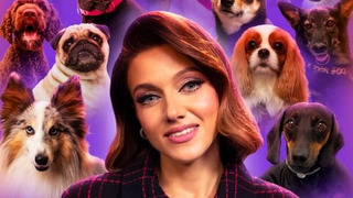 Show Дай лапу