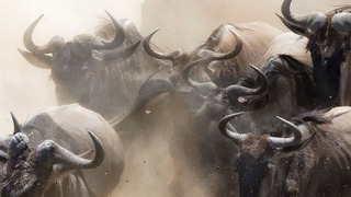 Trials of the Wild season 1