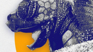 Сериал Life's Journey