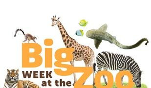 Big Week at the Zoo season 2