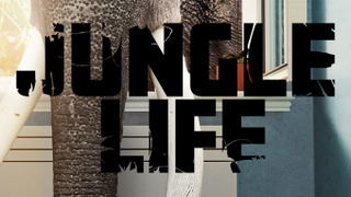 Сериал Jungle Life