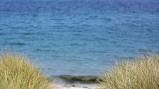 Show Beach Live: Jurassic Coast Revealed