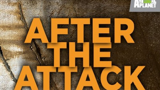 After the Attack season 1