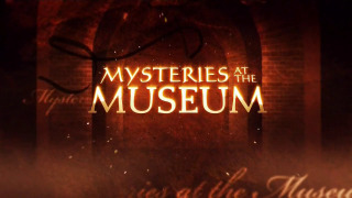 Mysteries at the Museum season 2010