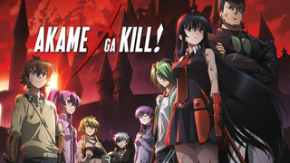 Anime Akame ga Kill!