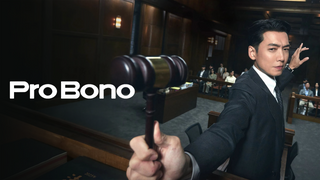 Show Pro Bono