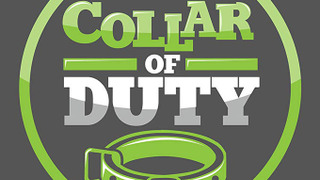 Сериал Collar of Duty