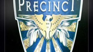 17th Precinct season 1