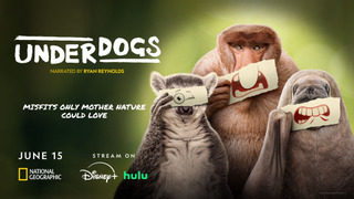 Сериал Аутсайдеры