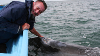 Whale Adventure with Nigel Marven season 1