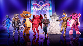 The Masked Singer сезон 1