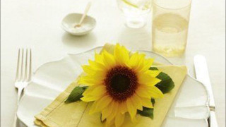 Show Delia Smith's Summer Collection