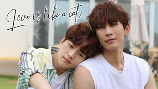 Сериал Любовь подобна кошке