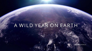A Wild Year on Earth season 1