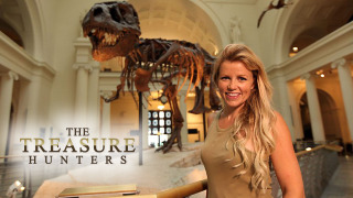 Сериал The Treasure Hunters