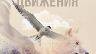Сериал Принцип движения