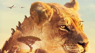 Serengeti season 3
