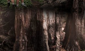 Redwood Kings сезон 1