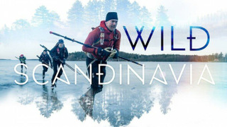 Сериал Wild Scandinavia