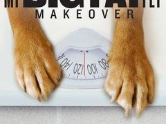 Сериал My Big Fat Pet Makeover