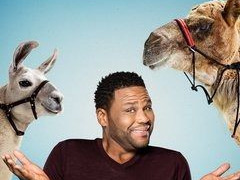 Сериал Animal Nation with Anthony Anderson