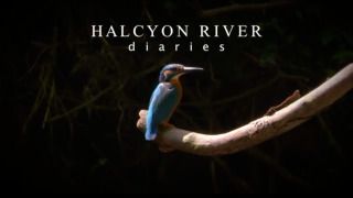 Halcyon River Diaries сезон 1