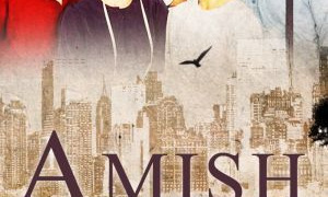 Amish in the City season 1
