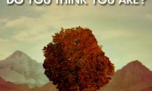 Show Who Do You Think You Are?