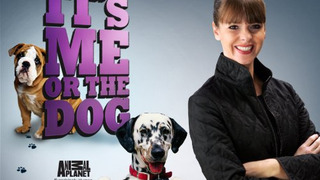 It's Me Or The Dog (US) сезон 2