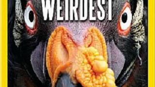 World's Weirdest season 3