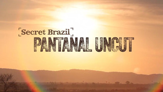 Show Secret Brazil