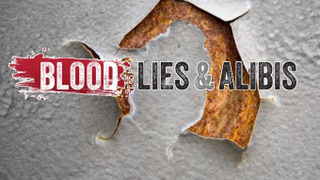 Blood Lies & Alibis season 1
