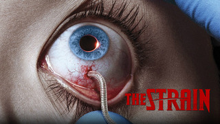 Show The Strain